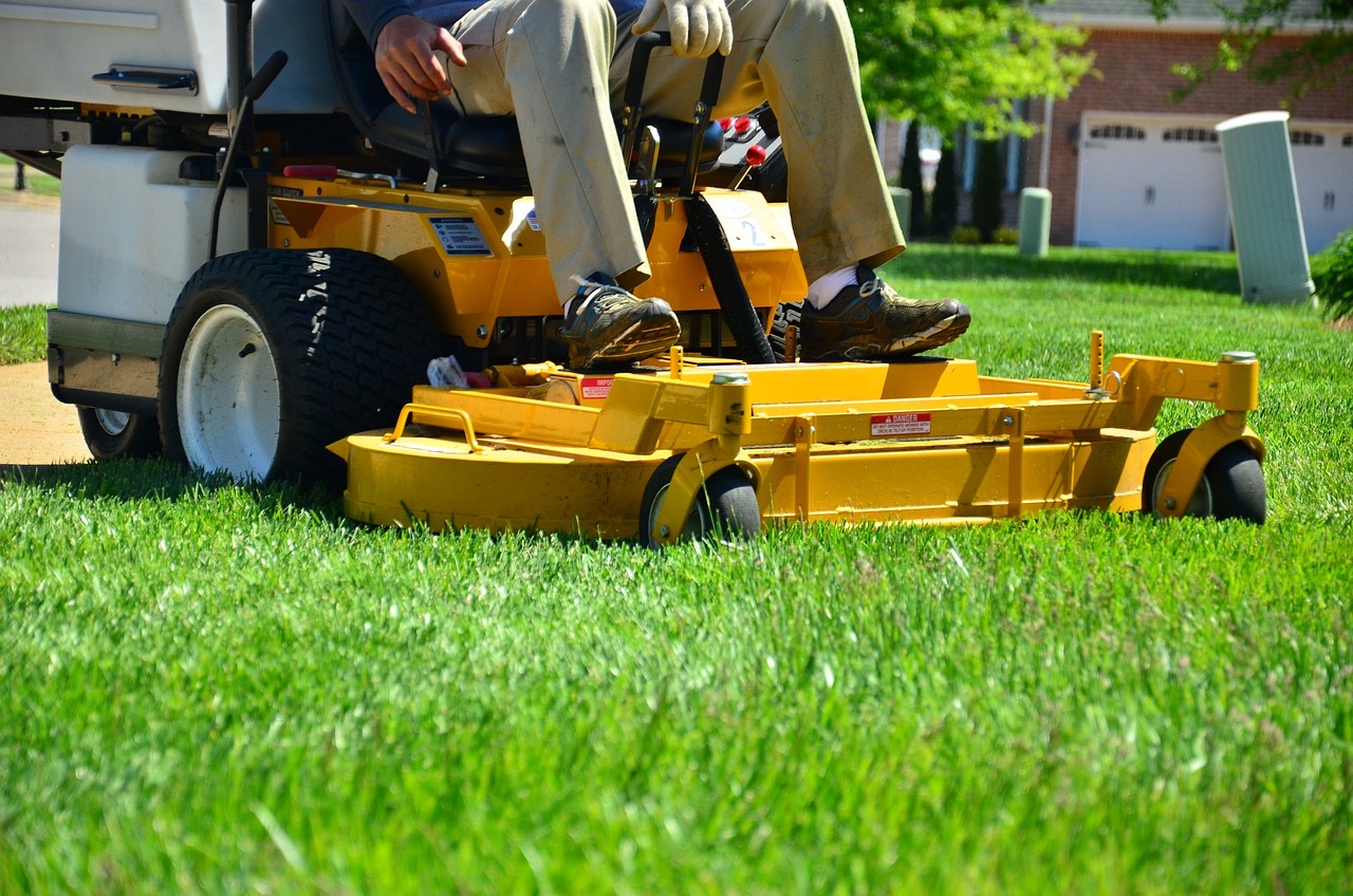 🚩 Red Flags in Your Lawn: Signs That Require Your Attention